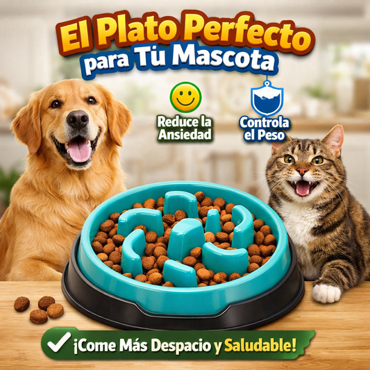 Plato Interactivo para Mascotas 🐶🐈